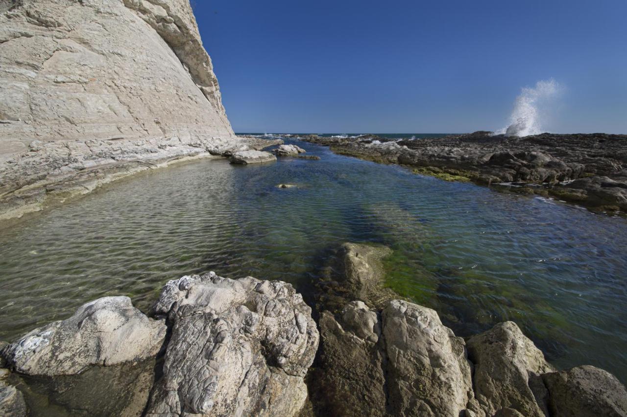 Appartamento Brezza Del Conero Ancona Esterno foto